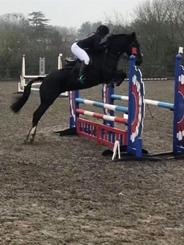 Sophie Hopkins from Worcestershire is crowned the NAF Shining Star for March Sophie Hopkins from Worcestershire is crowned the NAF Shining Star for March